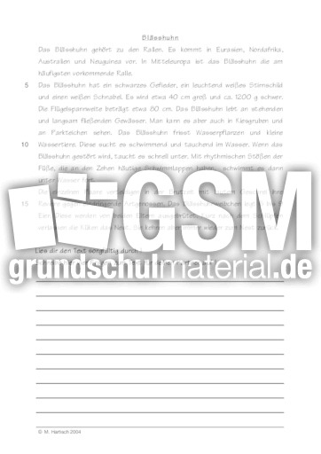 Blässhuhn.pdf